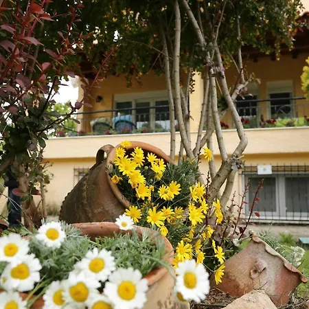 Charma Villa
